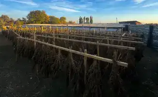 Положительные результаты борьбы с международным наркотрафиком: ликвидировано 6 каналов и изъято 622 кг наркотиков