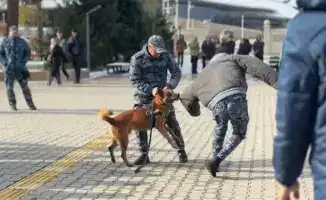 Обучение студентов важности законопослушного поведения через демонстрацию работы полицейской собаки в Жетысуском университете