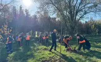 Сайрамский район высадка 100 деревьев очистка земли от мусора восстановление природы