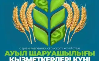 Аграрный сектор как основа экономической стабильности и продовольственной безопасности: итоги форума работников сельского хозяйства