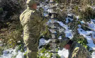 Лавиноопасный период в Восточно-Казахстанской области: угроза для отдыхающих и местной экологии