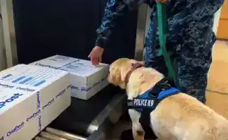 Выявление 238 правонарушений связанных с наркотиками в ЗКО за 10 месяцев 2025 года