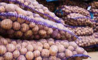 Вице-премьер Жумангарин: картофель в Казахстане не подорожал