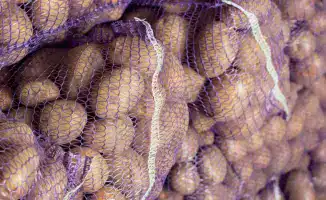 Картофель: что стоит за ростом цен в прошлом году?