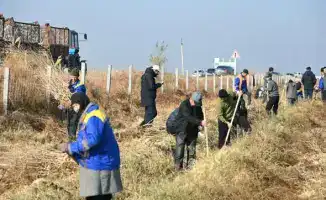 В Жетысайском районе высадили 7000 саженцев в рамках экологической инициативы