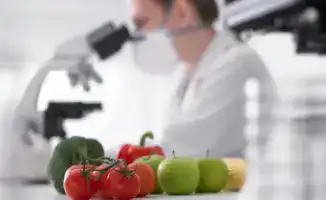 Новый порядок карантинной фитосанитарной экспертизы в пяти регионах Казахстана с 24 ноября 2025 года