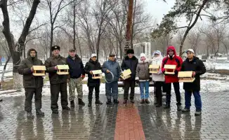 «Птицы на зимнем пиршестве»: в парке Майкудука появились кормушки для пернатых