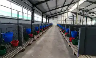 Запуск молочно-товарной фермы на 1200 голов в Костанайской области