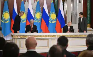 Казахстан готовится к ввозу амурских тигров: совместный проект с Россией