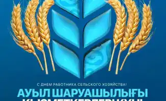 Сельское счастье: поздравление от акима СКО!