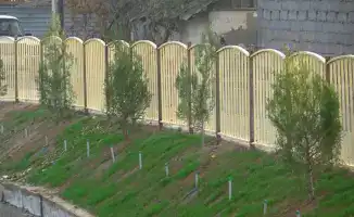 В Келесе прошла акция по озеленению: местные жители высадили 25 тысяч саженцев