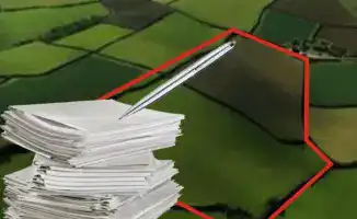 Незаконные корни: земля в Абайской области освобождена от самовольного захвата