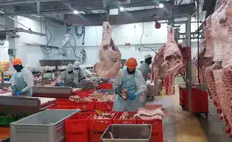 Казахстанские предприятия соответствуют международным стандартам: добавлены в Реестр импортеров ОАЭ