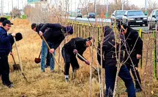 Зеленая симфония: Кызылорда очищает природу и сажает будущее