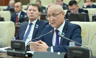 Депутаты Казахстана обвиняют ЛГБТ в организации информационной атаки на Мажилис