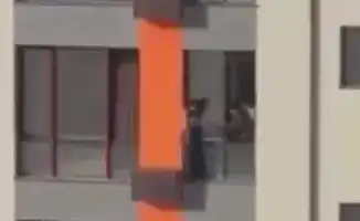 Очевидец спас девушку на высоте в Шымкенте: видео с многоэтажного дома