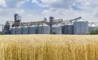 Астана: Цифровизация сельского хозяйства и новые элеваторы для развития агросектора