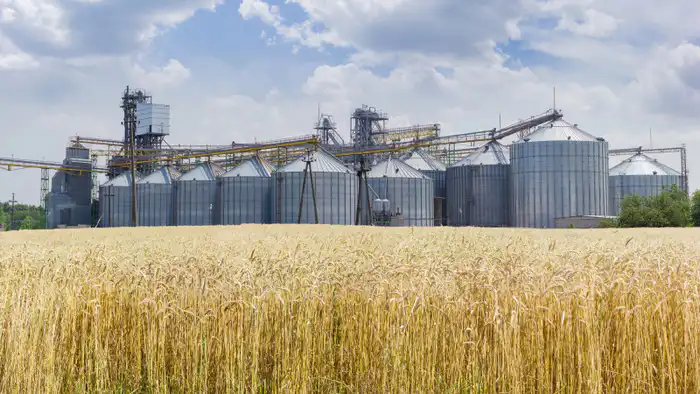 Астана: Цифровизация сельского хозяйства и новые элеваторы для развития агросектора