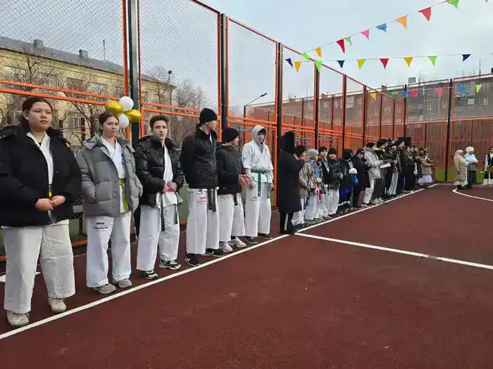 В Темиртау открыли 30 современных спортивных площадок для школьников (7)