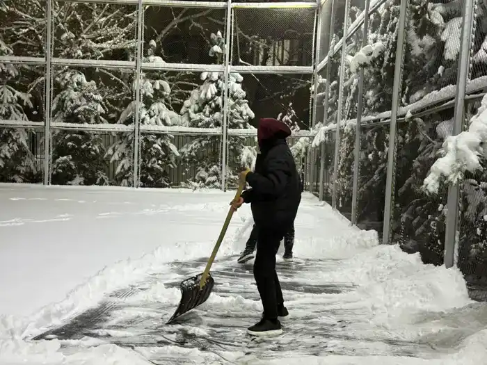 Алматы: экологический флешмоб молодежи, превращающий город в зеленую оазис