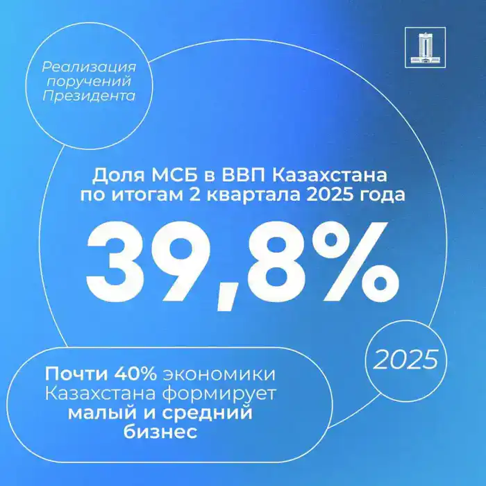 Исполнение поручений Президента по поддержке МСБ: каждый пятый казахстанец работает в сфере бизнеса (2)