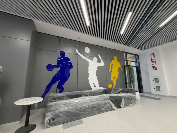 В г. Кокшетау завершается строительство спортивного комплекса «Кокше Арена» (3)