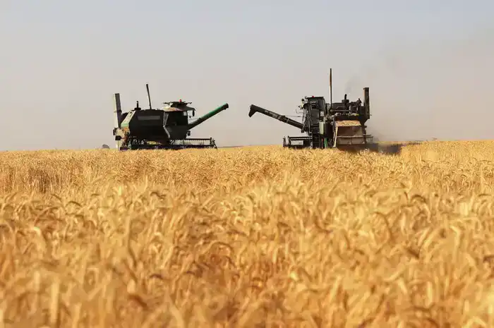 Почти 30 млрд тенге субсидий направлено на развитие агросектора Жамбылской области (4)