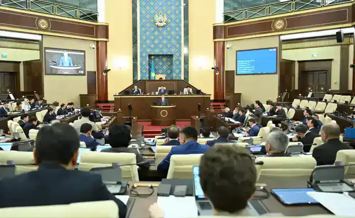 Мажилис ратифицировал соглашение с Фондом международного развития OPEC (2)