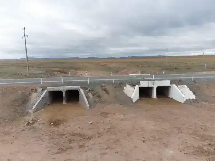 О ходе противопаводковых мероприятий в регионах (6)