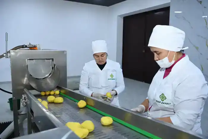 Советник главы Правительства посетил село Бесарык (7)