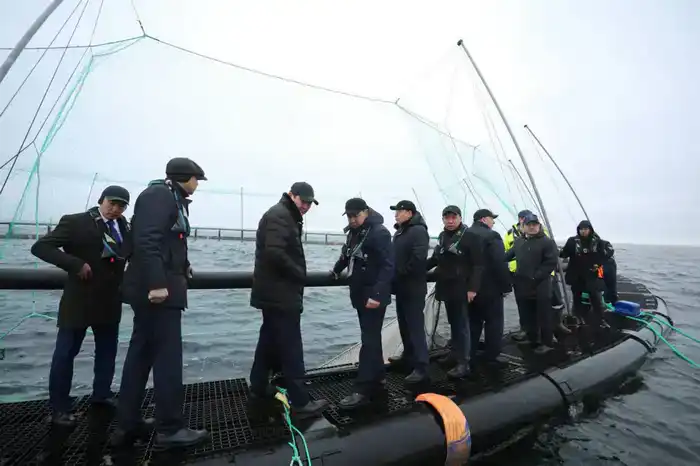 В Мангистау реализуется первый в Центральной Азии проект морской аквакультуры (10)