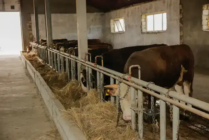 Объём производства сельскохозяйственной продукции в Атырауской области достиг 1168 миллиардов тенге