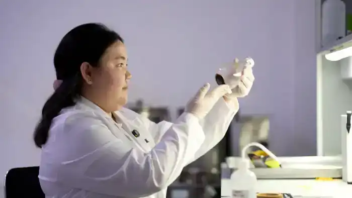 Цикорий: зелёный эликсир в борьбе с диабетом!