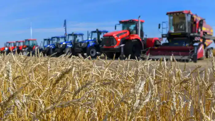 Рост производства сельхозпродукции на 6,1% свидетельствует о стабильности аграрного сектора