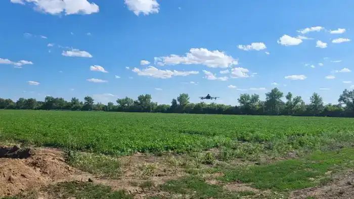 AgroSky: внедрение дронов и ИИ в сельское хозяйство Караганды способствует экономии ресурсов и увеличению урожайности