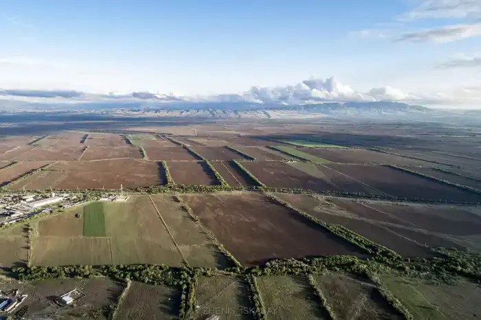 За 3 года в Жетісу введено в оборот 712 тыс. га неиспользуемых земель, а еще 603 тыс. га возвращено в госсобственность (4)