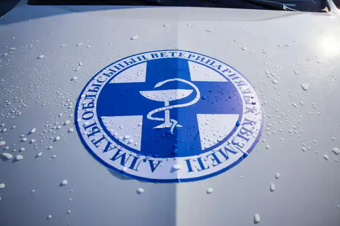 38 новых медицинских учреждений, 347 единиц техники и новые машины скорой помощи: какие изменения произошли в сфере здравоохранения в Алматинской области в 2025 году (4)