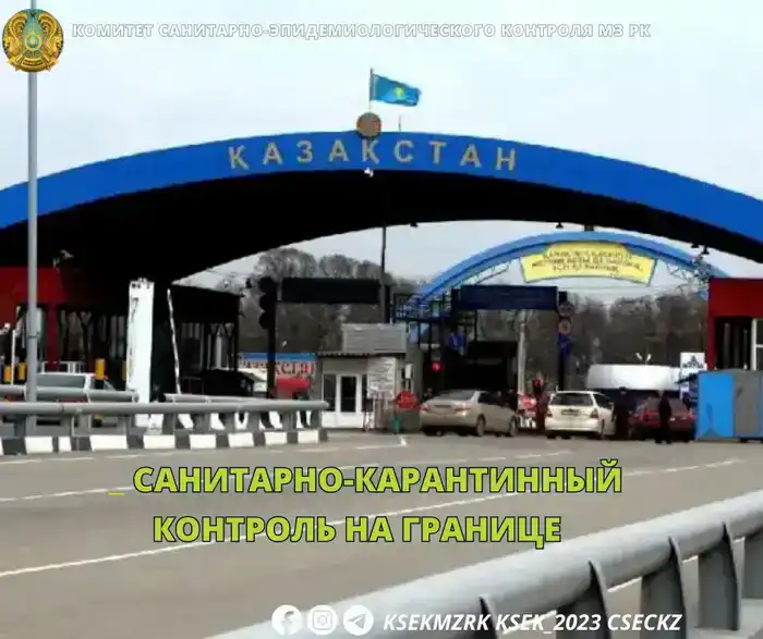 Эффективность санитарно-карантинного контроля на границе: защита от инфекционных угроз