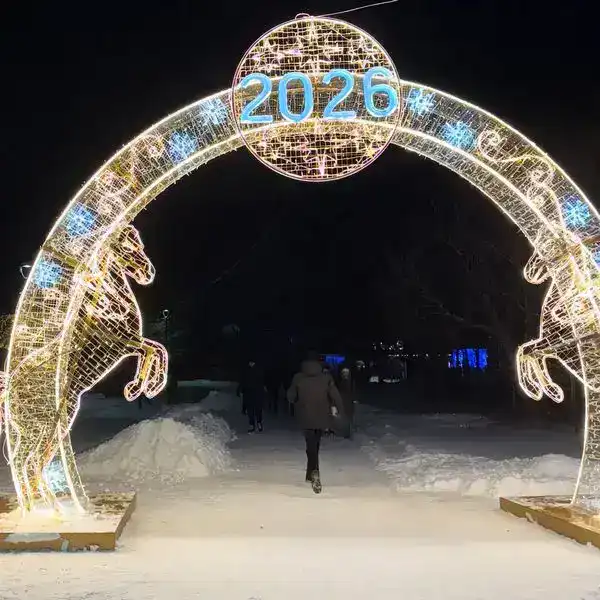Немного волшебства: кто в Караганде создаёт новогоднюю атмосферу (2)