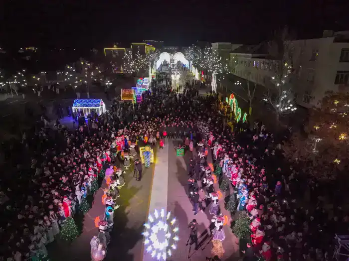 Зажглась новогодняя елка (5)