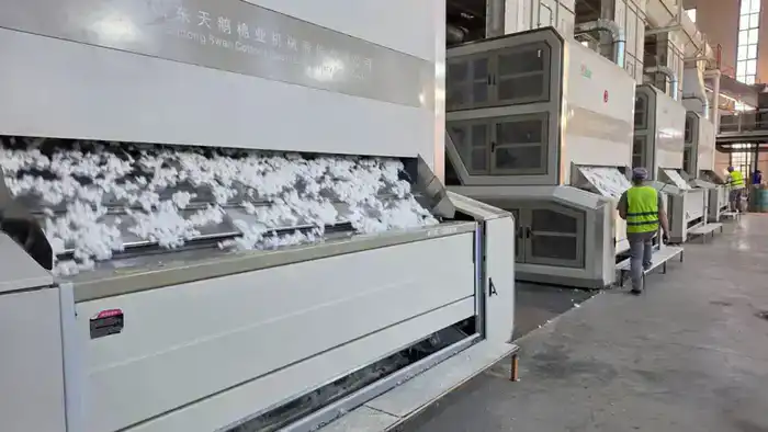 Масштабный международный кластер по производству хлопка и одежды будет создан в Туркестанской области Казахстана с участием китайского инвестора