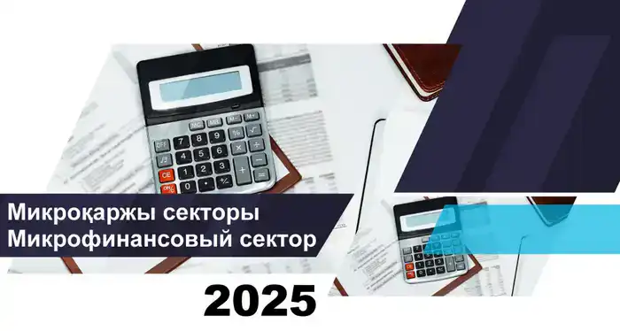 Снижение активов микрофинансовых организаций Казахстана и его последствия для социальной стабильности