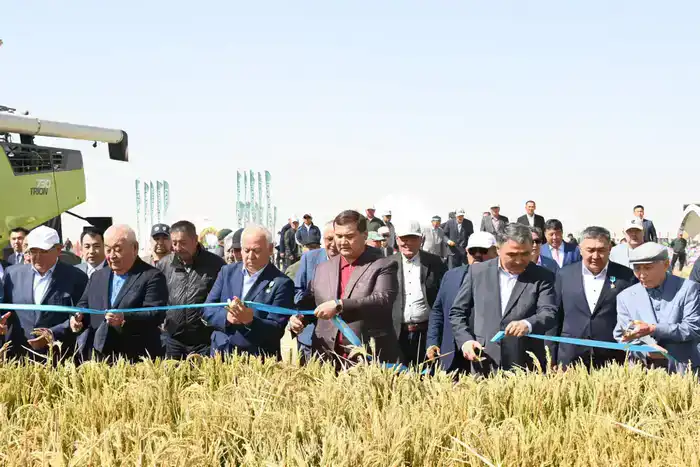 Посевные площади в Кызылординской области диверсифицируются (4)