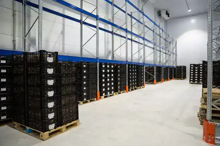 Логистика Алматинской области набирает обороты (4)