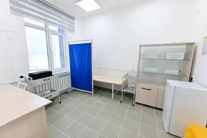 Аким области ознакомился с работой медицинского пункта в селе Малтүгел (4)