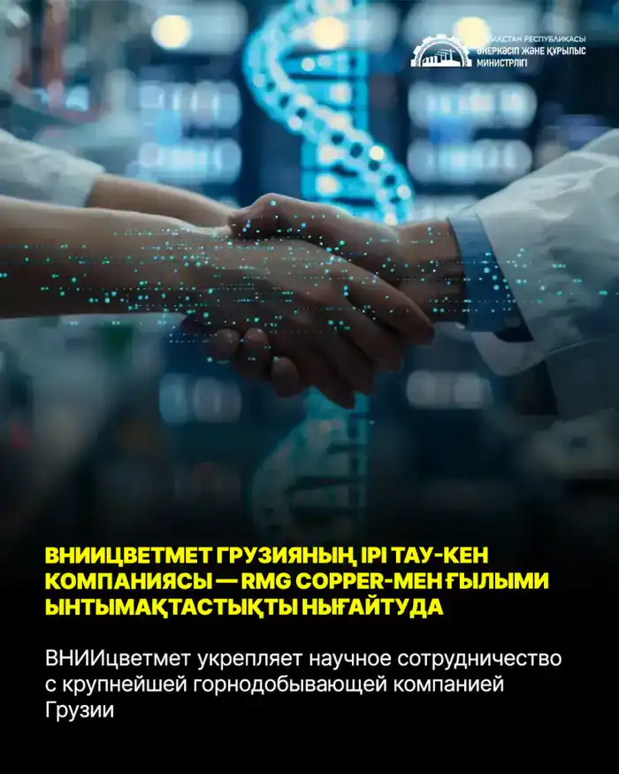 Научное сотрудничество ВНИИцветмет и RMG Group в Грузии