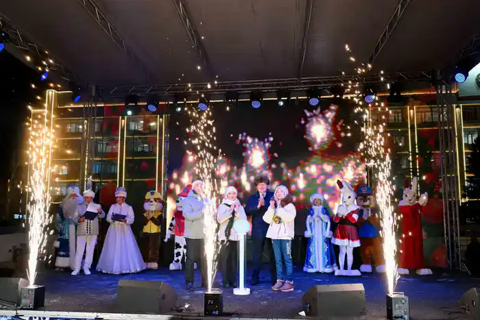 В Семее зажгли огни новогодней елки (8)