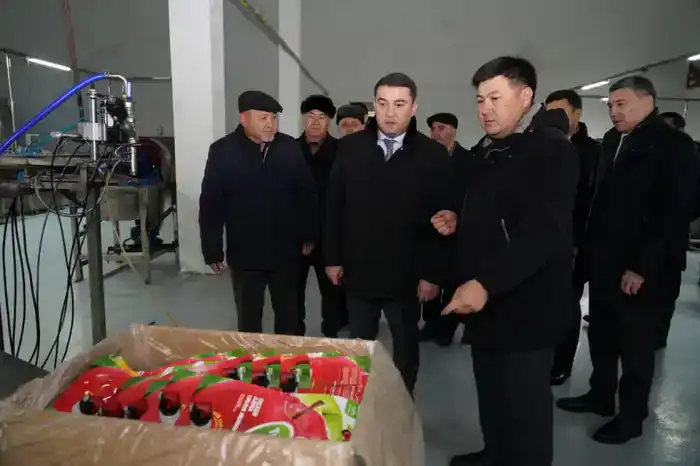 ТУРКЕСТАН: В ТЮЛЬКУБАСЕ ОТКРЫЛСЯ ЗАВОД ПО ГЛУБОКОЙ ПЕРЕРАБОТКЕ ФРУКТОВ И ЯГОД (4)