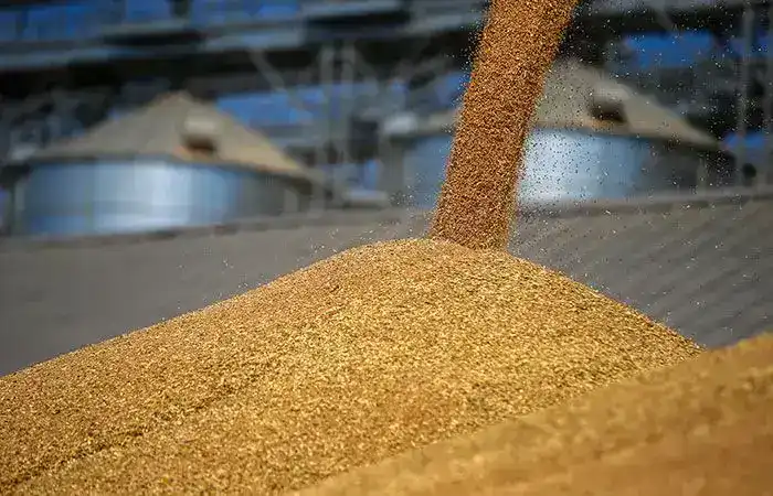 Казахстан наращивает объемы экспорта зерна