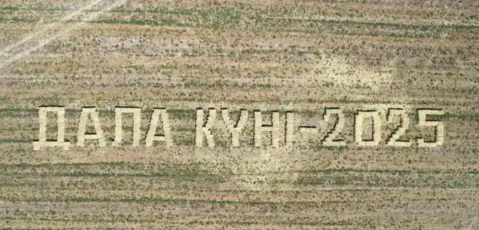 Посевные площади в Кызылординской области диверсифицируются (6)